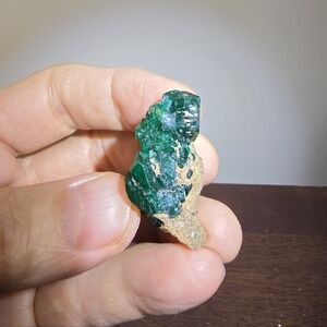 Dioptase Crystal Cluster #D